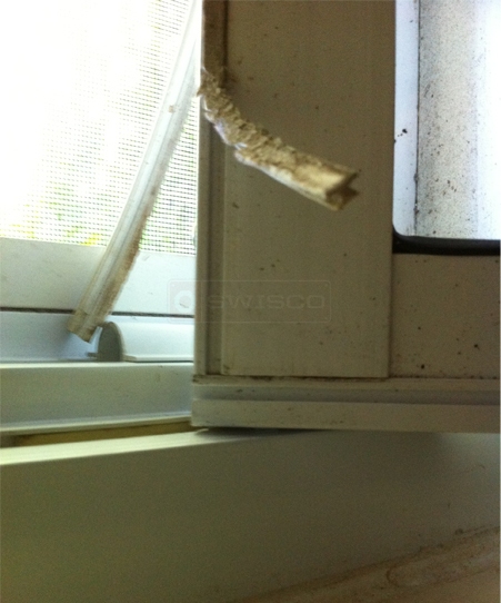 User submitted a photo of weatherstripping.