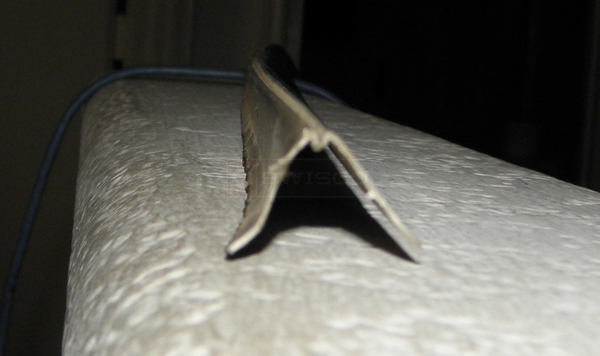 User submitted a photo of a glazing bead.