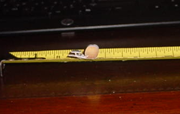 User submitted a photo of window hardware.