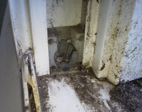 User submitted a photo of a pivot shoe.