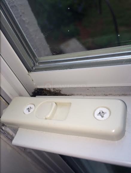 User submitted a photo of a tilt latch.