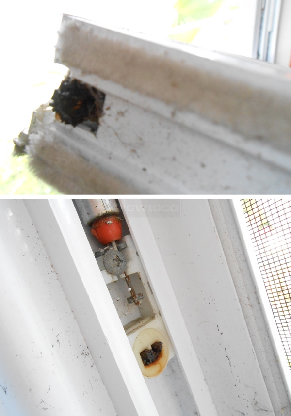 User submitted photos of window hardware.