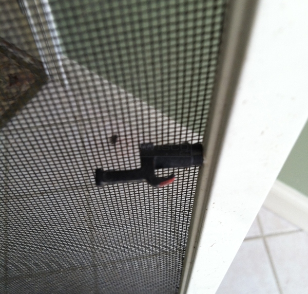 User submitted a photo of a screen clip.
