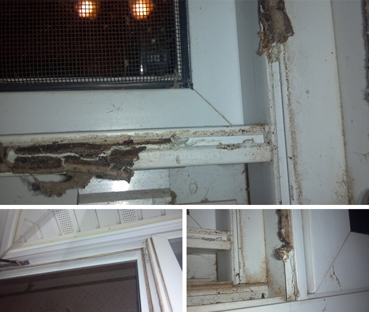 User submitted photos of weatherstripping.