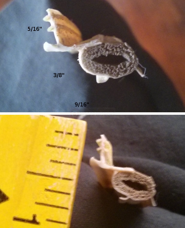 User submitted photos of weatherstripping.