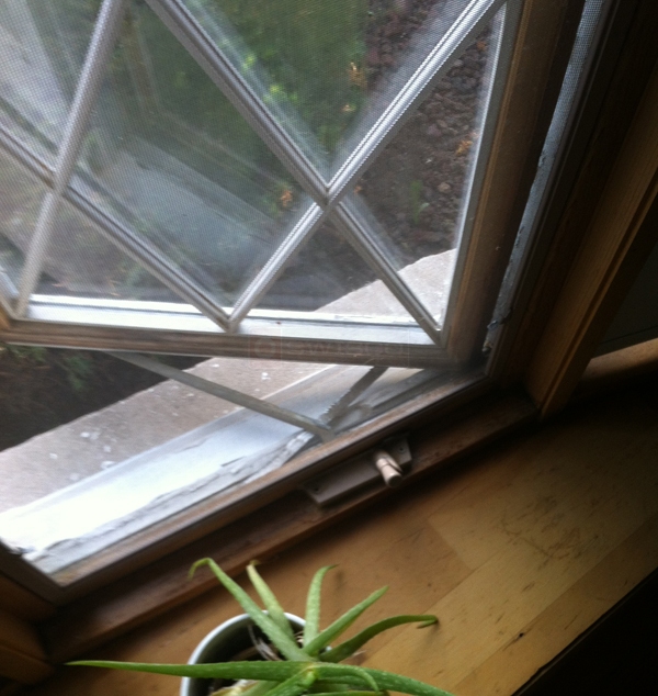 User submitted a photo of a window operator.