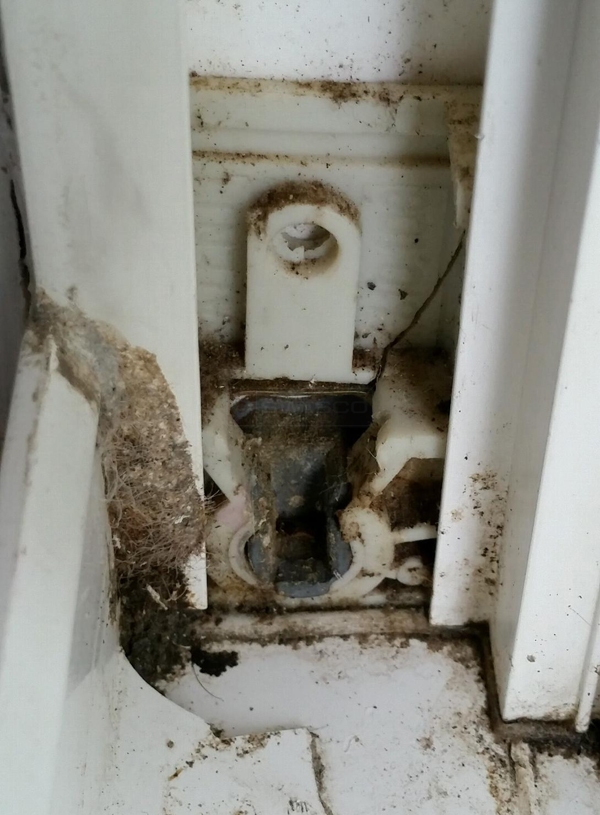 User submitted a photo of a pivot shoe.