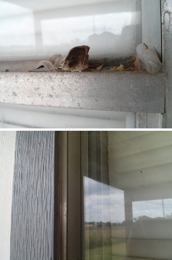 User submitted photos of a glazing bead.