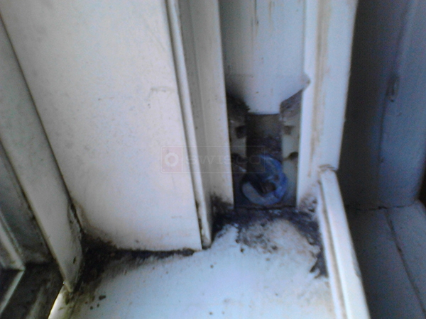 User submitted a photo of a pivot shoe.