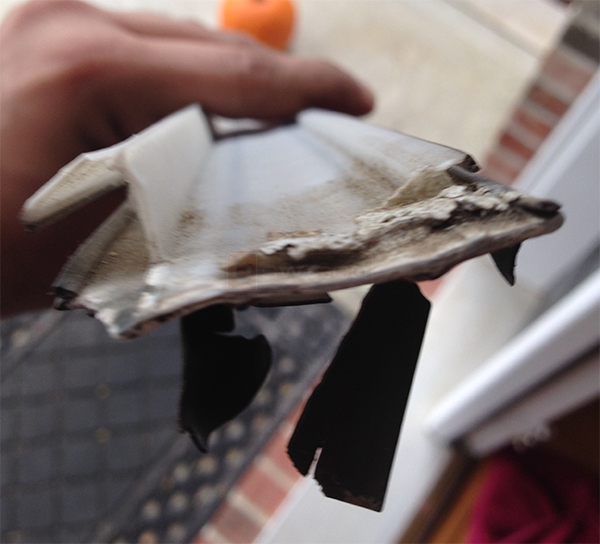 User submitted a photo of a door sweep.