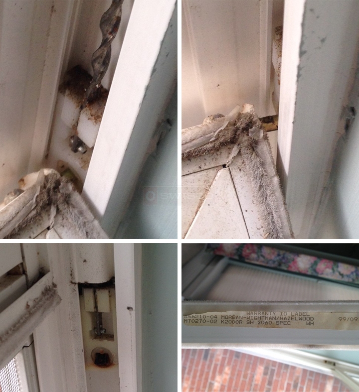 User submitted photos of a pivot shoe.