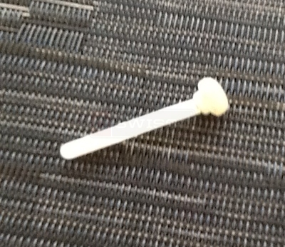 User submitted a photo of a screen plunger pin.