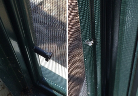 User submitted photo of their window screen.