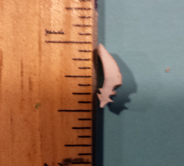 User submitted a photo of window spline.