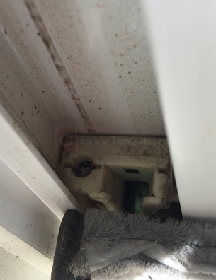 User submitted photo of their pivot shoe.