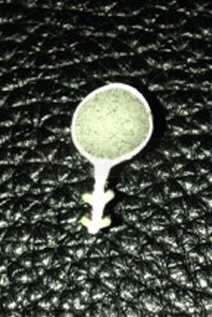 User submitted photo of their weatherseal.