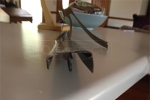 User submitted a photo of a door sweep.