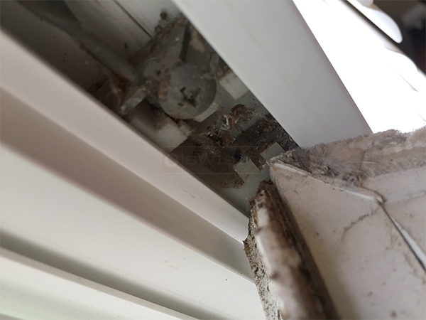 User submitted a photo of a pivot shoe.