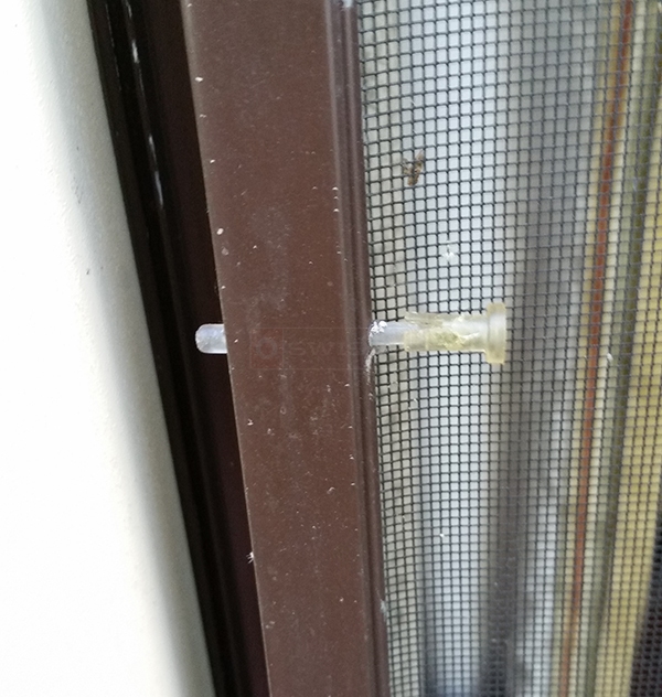 User submitted a photo of a screen pin.