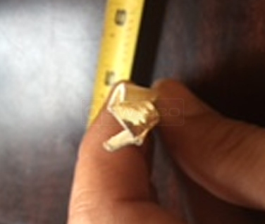 User submitted photo of their weatherseal.