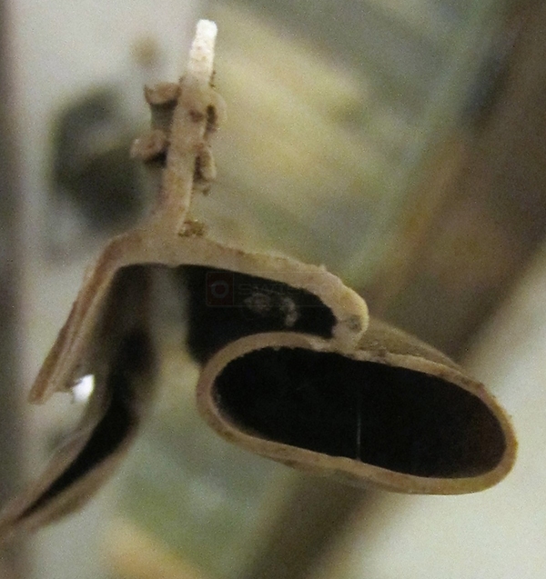 User submitted a photo of weatherseal.