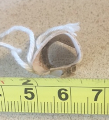User submitted image of their weatherstripping.