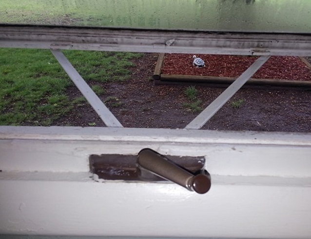 User submitted image of their window hardware.