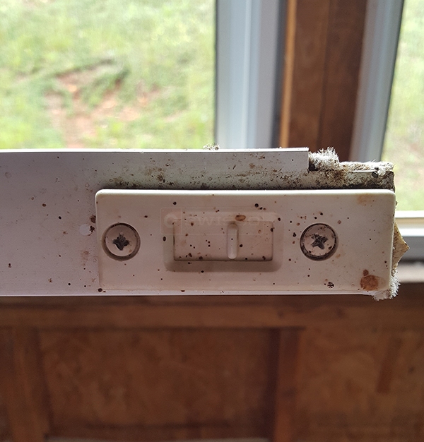 User submitted a photo of a tilt latch.