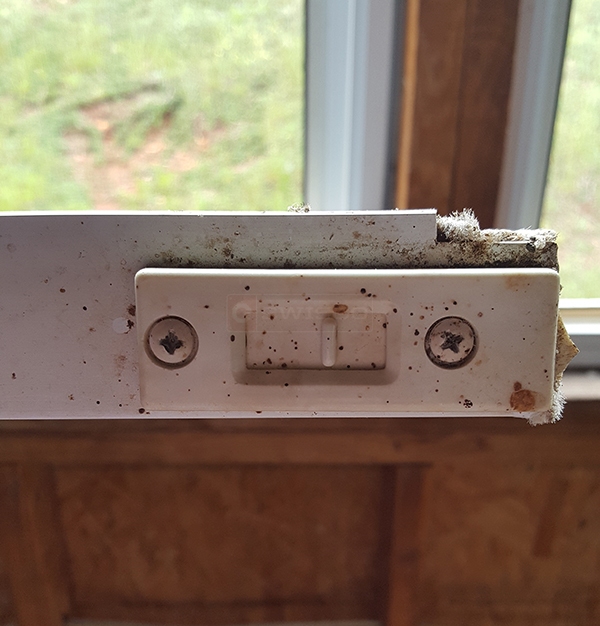 User submitted a photo of a tilt latch.