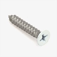 #8 x 1" Phil Flat SS Screw, Painted