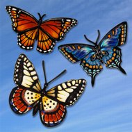 Butterfly Trio Magnetic Screen Saver Series