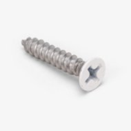 #6 x 3/4" Phil Flat SS Screw, Painted