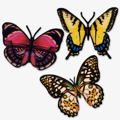 Magnetic Butterflies Screen Saver Series Image