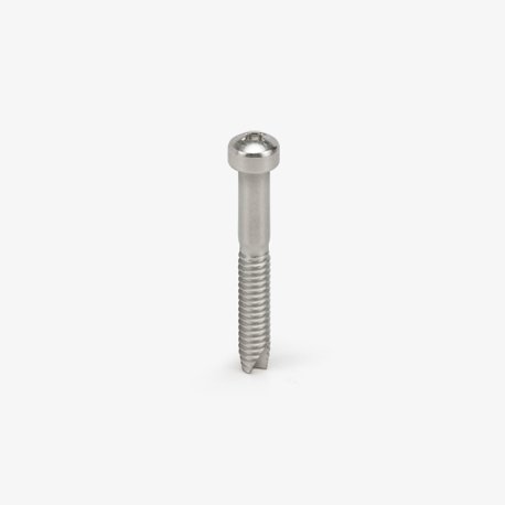 Installation Bolt
