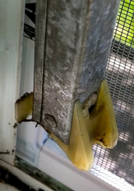 User submitted photo for bottom attachment.
