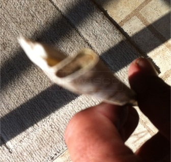 A customer submitted photo of weatherstripping.
