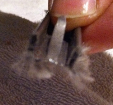 A customer submitted photo of door weatherstripping.