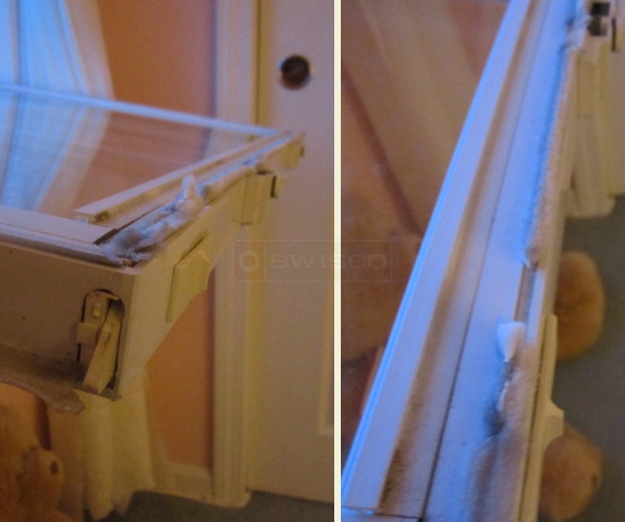 User submitted picture of white wool pile on window.