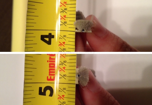 User submitted photos of weatherstripping.