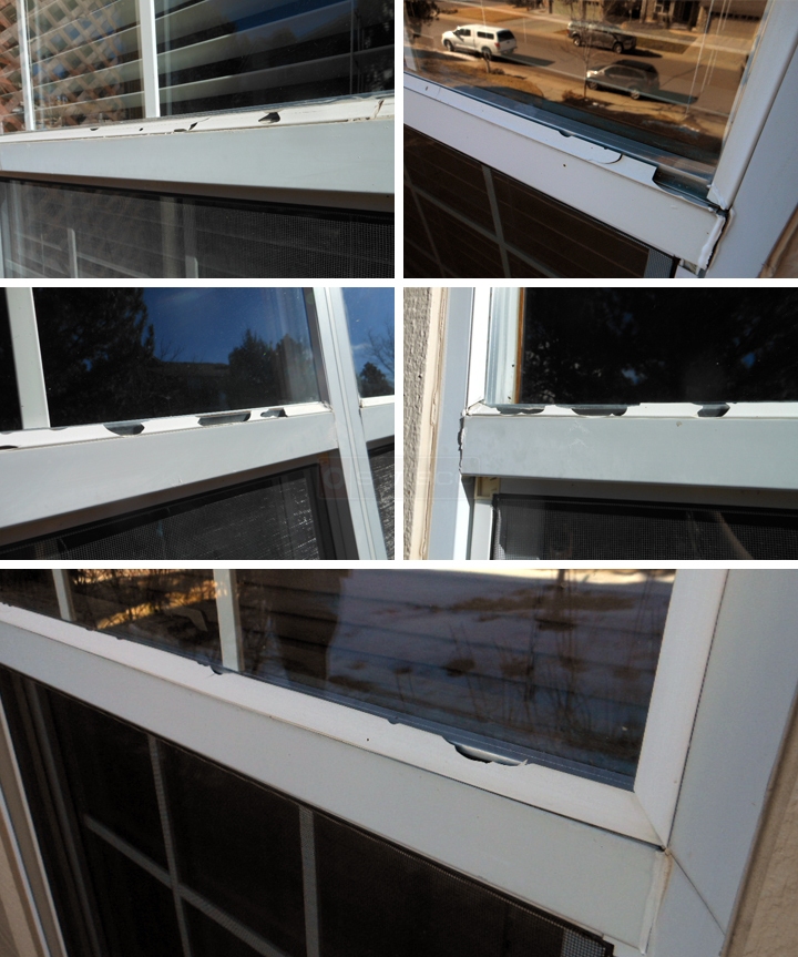 User submitted photos of snap in glazing.