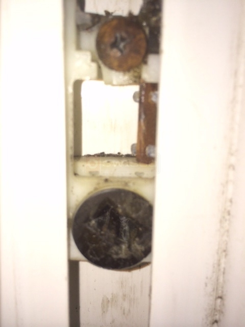 User submitted a photo of a pivot shoe.