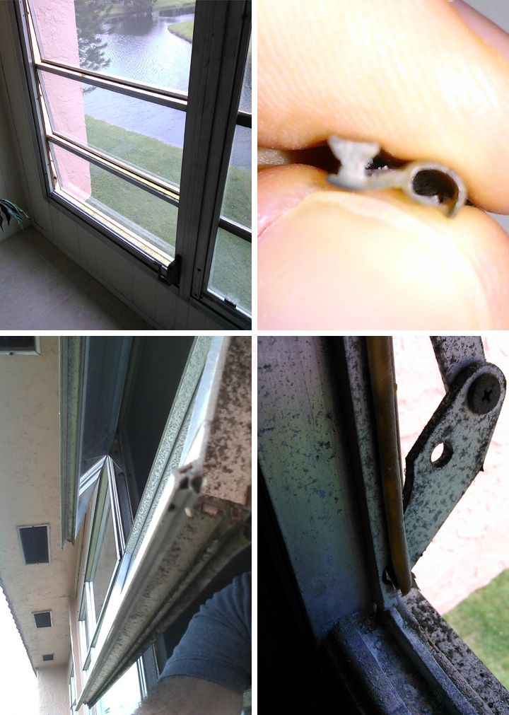 User submitted photos of bubble seal.