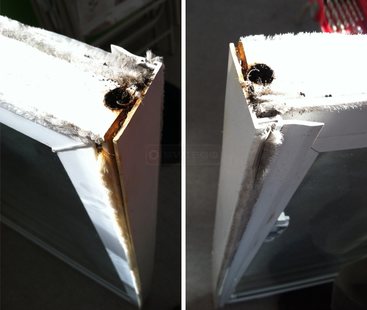 User submitted photos of window hardware.