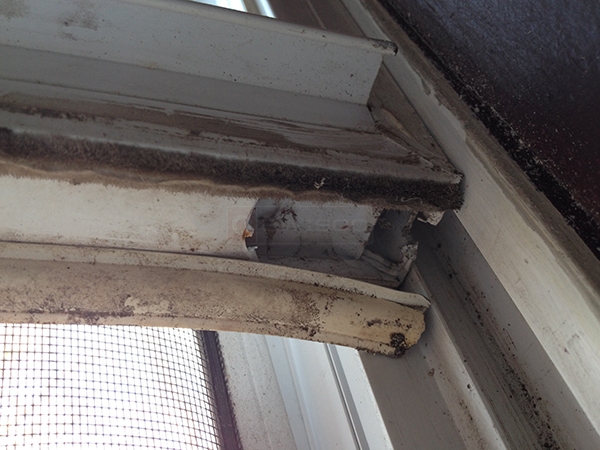 User submitted a photo of window hardware.