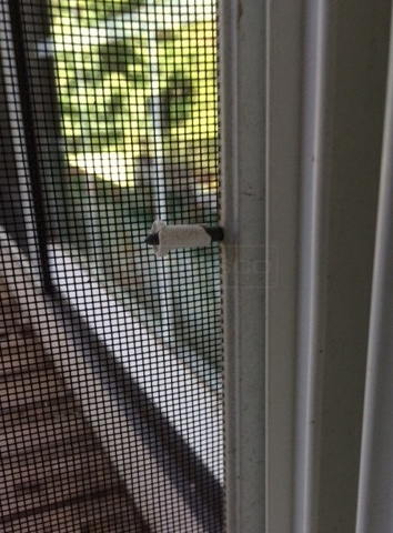 User submitted photo of their window pin.