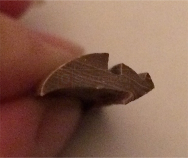 User submitted photo of their weatherseal.