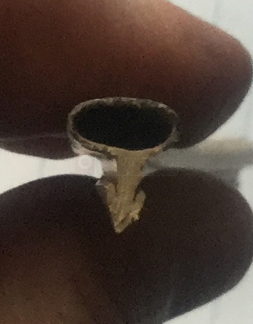 User submitted photo of their weatherseal.