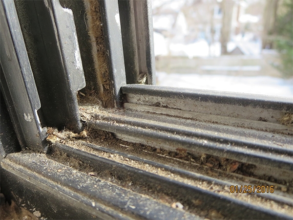 User submitted a photo of window hardware.