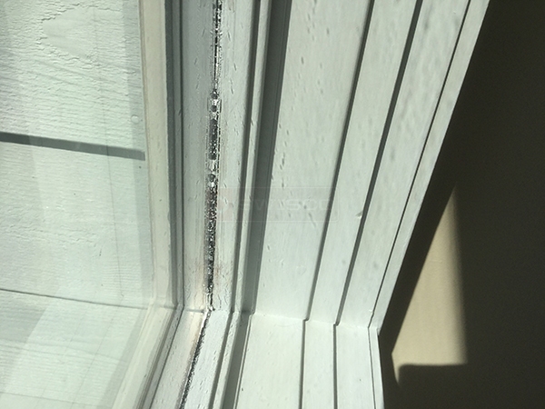 User submitted a photo of weatherseal.