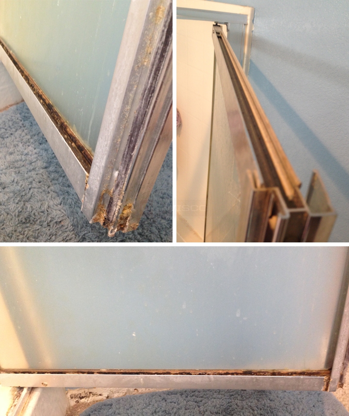 User submitted photos of a shower door sweep.